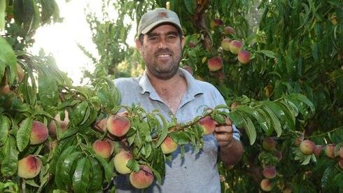 Image from Ynet