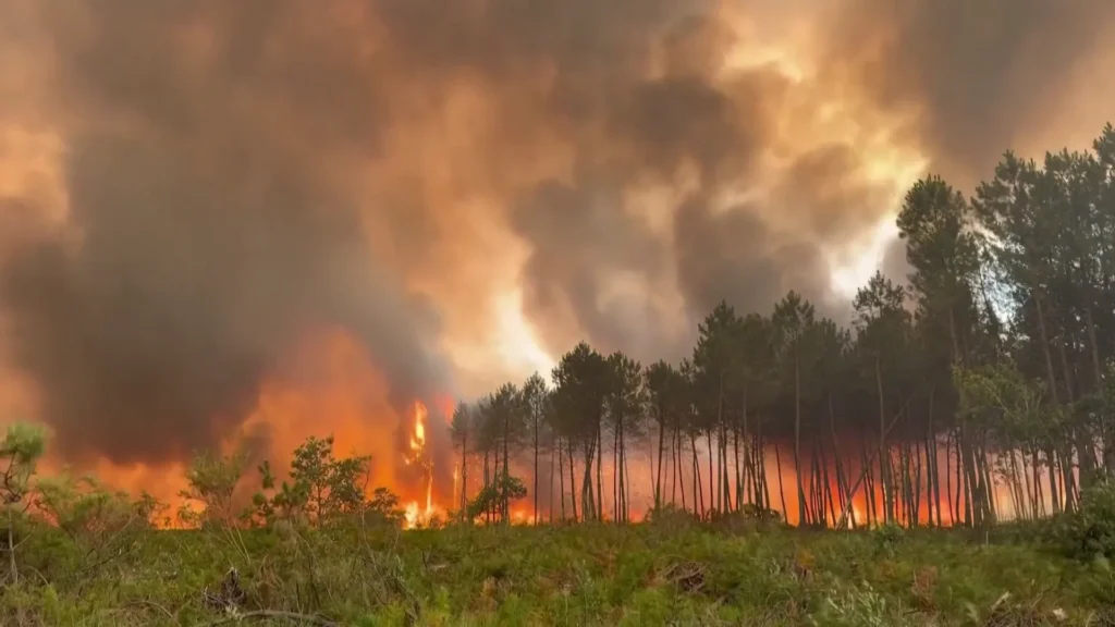 Image from Al Jazeera