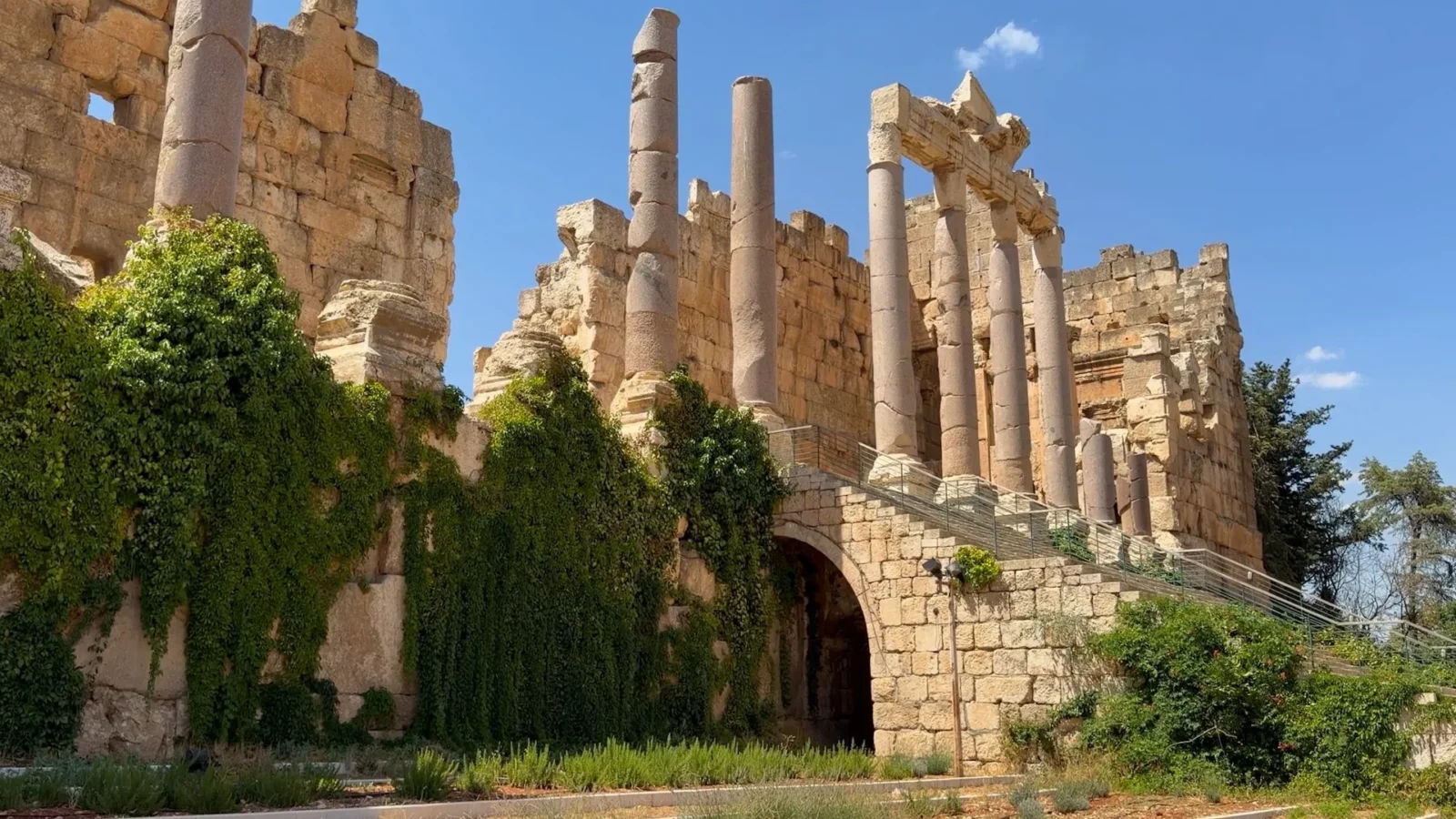 Image from Al Jazeera